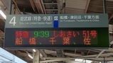 ��������51��ӻ�Į��
