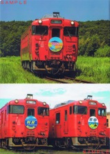 ��̫��ë������400�޹Ե�ư���������ꥢ�ۥ����΢