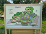 20260731あしかがフラワーパーク