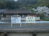 CIMG8505