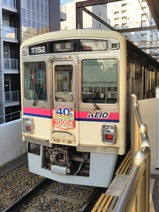 µþ²¦7000·Ï¥Ç¥Ó¥å¡¼40¼þǯµÇ°¥Ø¥Ã¥É¥Þ¡¼¥¯ÉÕ¤Îó¼Ö¢ºûÄÍ