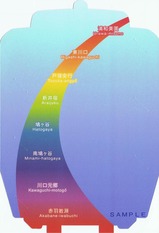 埼玉高速もうすぐ3億人記念台紙裏