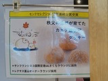 20230528すのうぼうるPR秩鉄秩父駅