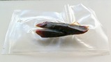 飯田線リレー号でぃあでぃあ車内試食