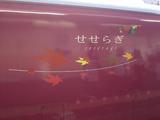 20090725ポートトレイン横濱号高崎行せせらぎ