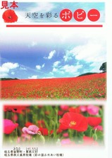 ŷ���Υݥԡ�2017�ݥ��ȥ�����