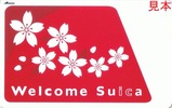 Welcome Suica202411ɽÌÌ
