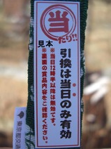 �ԱĹ������ߤ��й��ֵ�ǰ�������꤯��ɽ