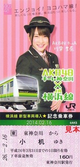 横浜線新型車両導入記乗1