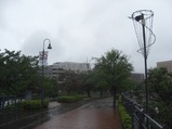 20110821横浜博覧会臨港線跡交換所付近2