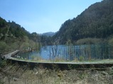 CIMG3884