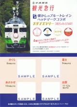 ��̫�������Υ֥롼�ȥ쥤��إåɥޡ�������ܥ�����ץ�꡼���