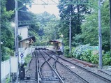20230628あじさい電車車窓