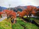写真10川桁付近