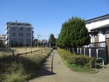 CIMG1031