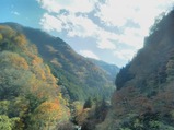 20231128三峯神社線大輪付近