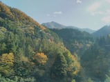 20231128三峯神社線大輪付近