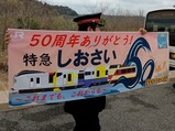 ��������51�������