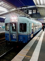 写真伊豆急100系ぶらり旅上り編13