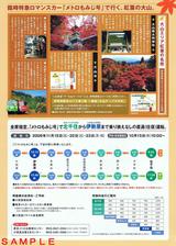 ���ĵ������ȥ펥��ȥ���ߤ���ѥ�ե�å�΢