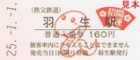 H25長瀞宝登山初詣号記入1