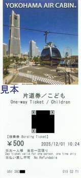 2025�襳�ϥގ�����������ӥ�����3