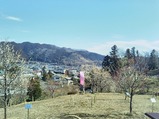 20230223特急青梅奥多摩梅の里号の旅梅の公園