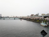 20210325¥µ¥¯¥é¥È¥ì¥¤¥ó¼ÖÁë