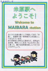 SL�̤Ӥ盧���Ƹ��إ���������΢