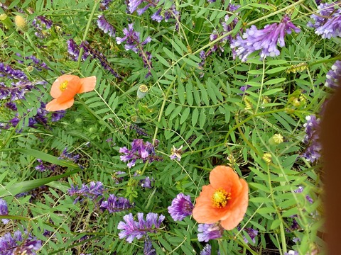 191111の線路きわ