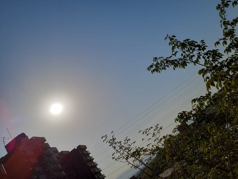 175638938_453366595768633_1377743900957996369_n