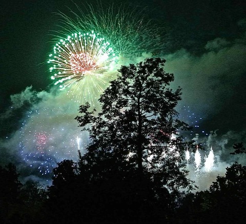 ดอกไม้ไฟ๔