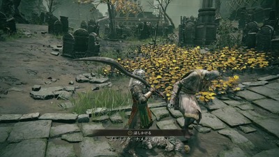 eldenring1309-godrick