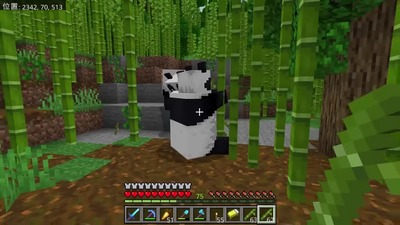 minecraft450-panda-jungle-biome