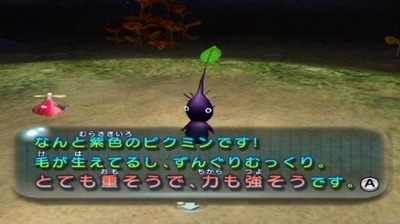 pikmin1-13-murasaki