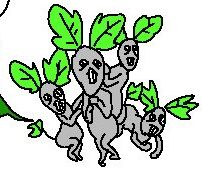 pokemon-image-gosanke14-shinka2