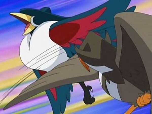 朗報 ムクホークさん 最初の草むらで捕まえられるくせに強すぎる ゲーハーの窓