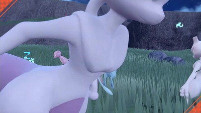 posv1429-picnic-mewtwo