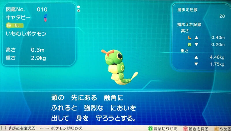 ポケモンのバタフリーとモルフォンが入れ替わった説ってマジだよな ゲーハーの窓