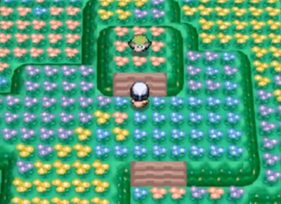 podp107-hananorakuen-syeimi-hokaku