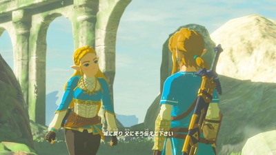 zeldabotw163