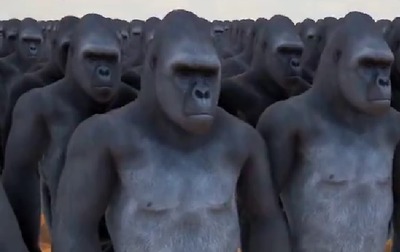 gorillavshuman2