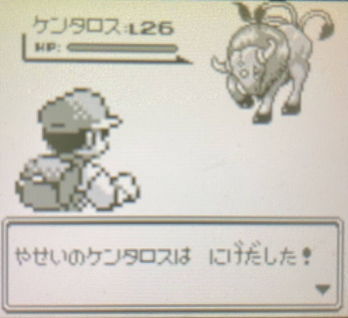 画像あり ガチでケンタロス出たから安価するわwwwwwwww ゲーハーの窓 画像あり ガチでケンタロス出たから安価するわwwwwwwww ゲーハーの窓