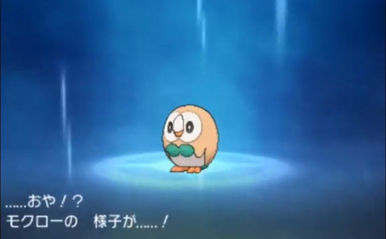 ポケモン あ 進化しそう トレーナー 進化するな ボカボカボカボカ ゲーハーの窓 ポケモン あ 進化しそう トレーナー 進化するな ボカボカボカボカ ゲーハーの窓