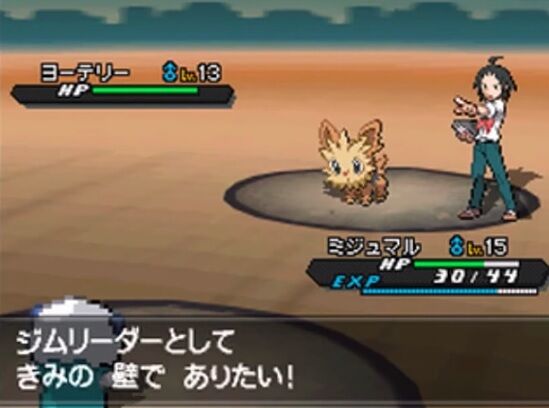 ポケモンのジムリーダーの名前の由来って植物なの ゲーハーの窓 ポケモンのジムリーダーの名前の由来って植物なの ゲーハーの窓