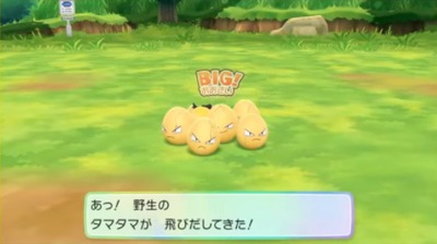 po-letsgo301-tamatama-irotigai