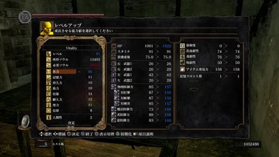 ds1-1660-status-hp-tairyoku