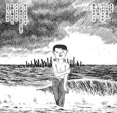 メノクラゲのメノってなんだよ ゲーハーの窓 メノクラゲのメノってなんだよ ゲーハーの窓