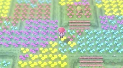 pobdsp12-shaymin-bug