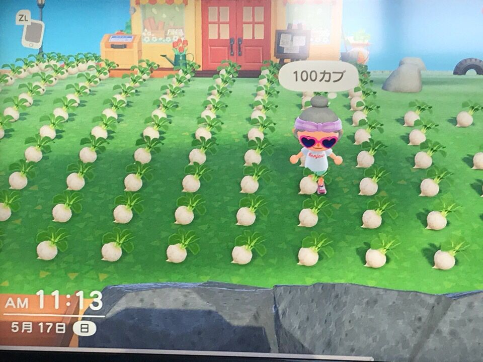 画像 どうぶつの森で全財産 500万ベル を賭けた大勝負を始めるから見守っててくれwwwww ゲーハーの窓 画像 どうぶつの森で全財産 500万ベル を賭けた大勝負を始めるから見守っててくれwwwww ゲーハーの窓